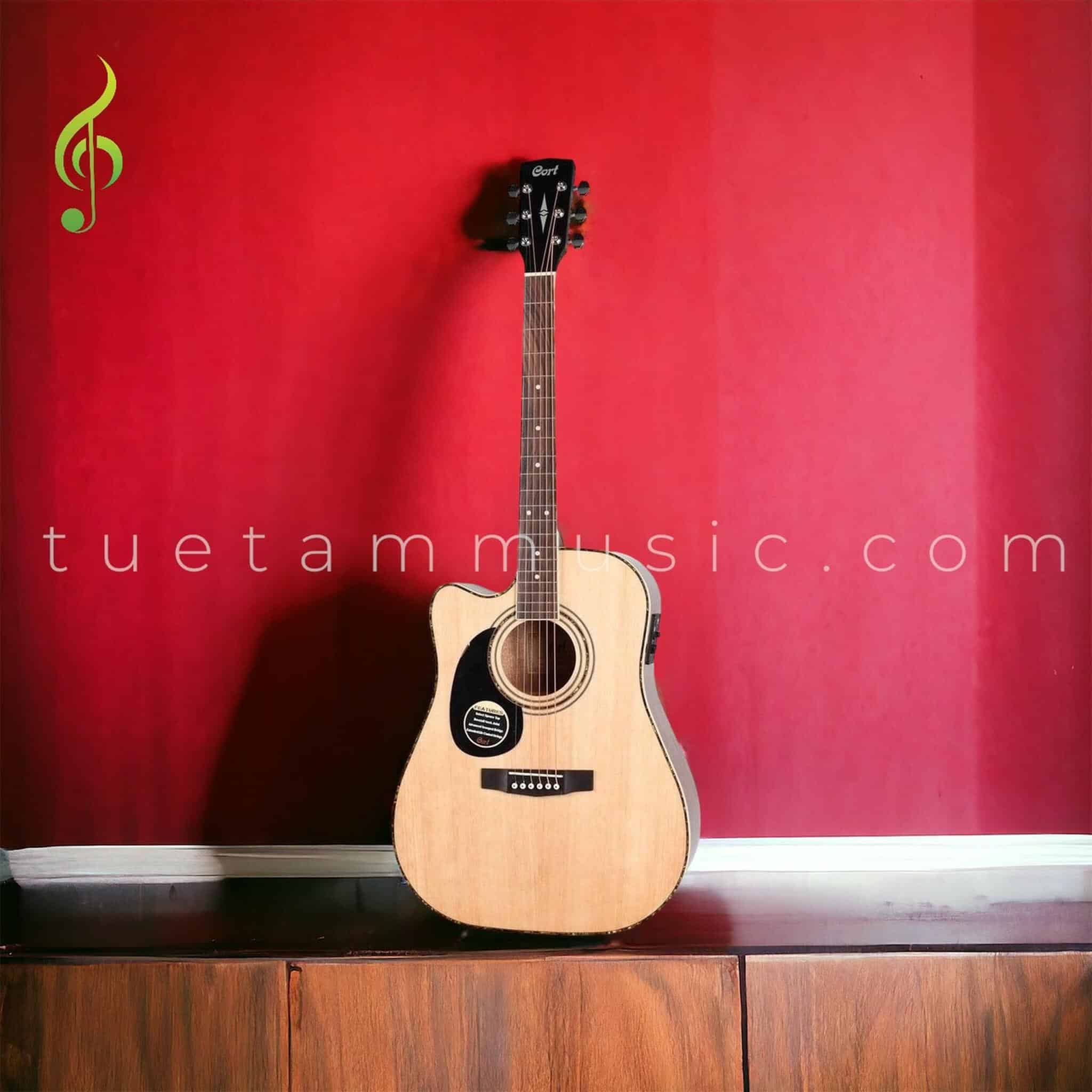 Đàn Guitar Acoustic Cort AD880
