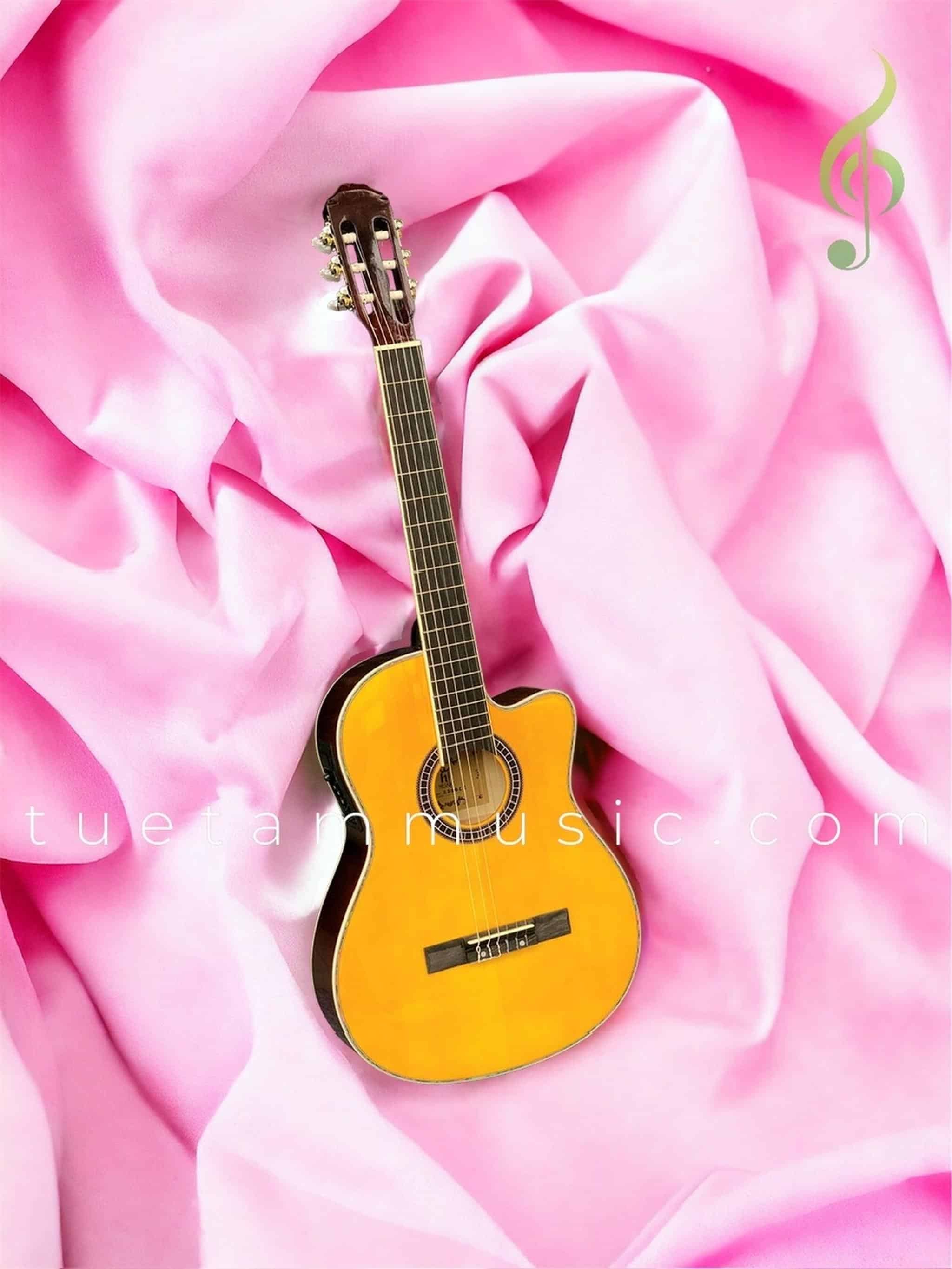 Guitar classic HT Music 39CE