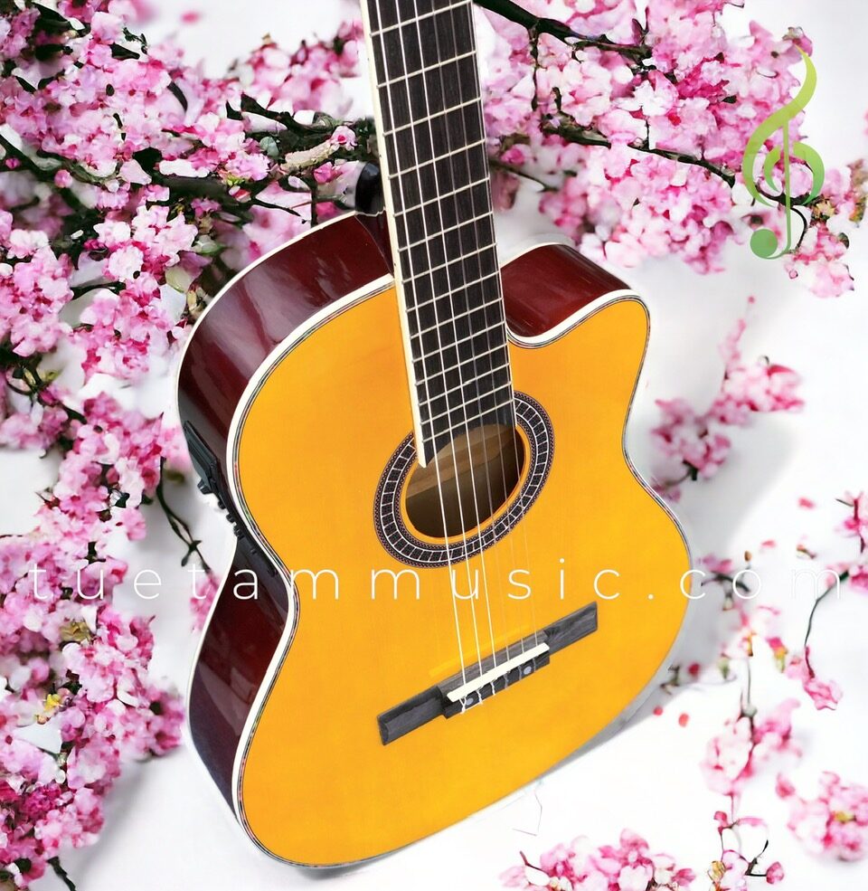 Guitar classic HT Music 39CE