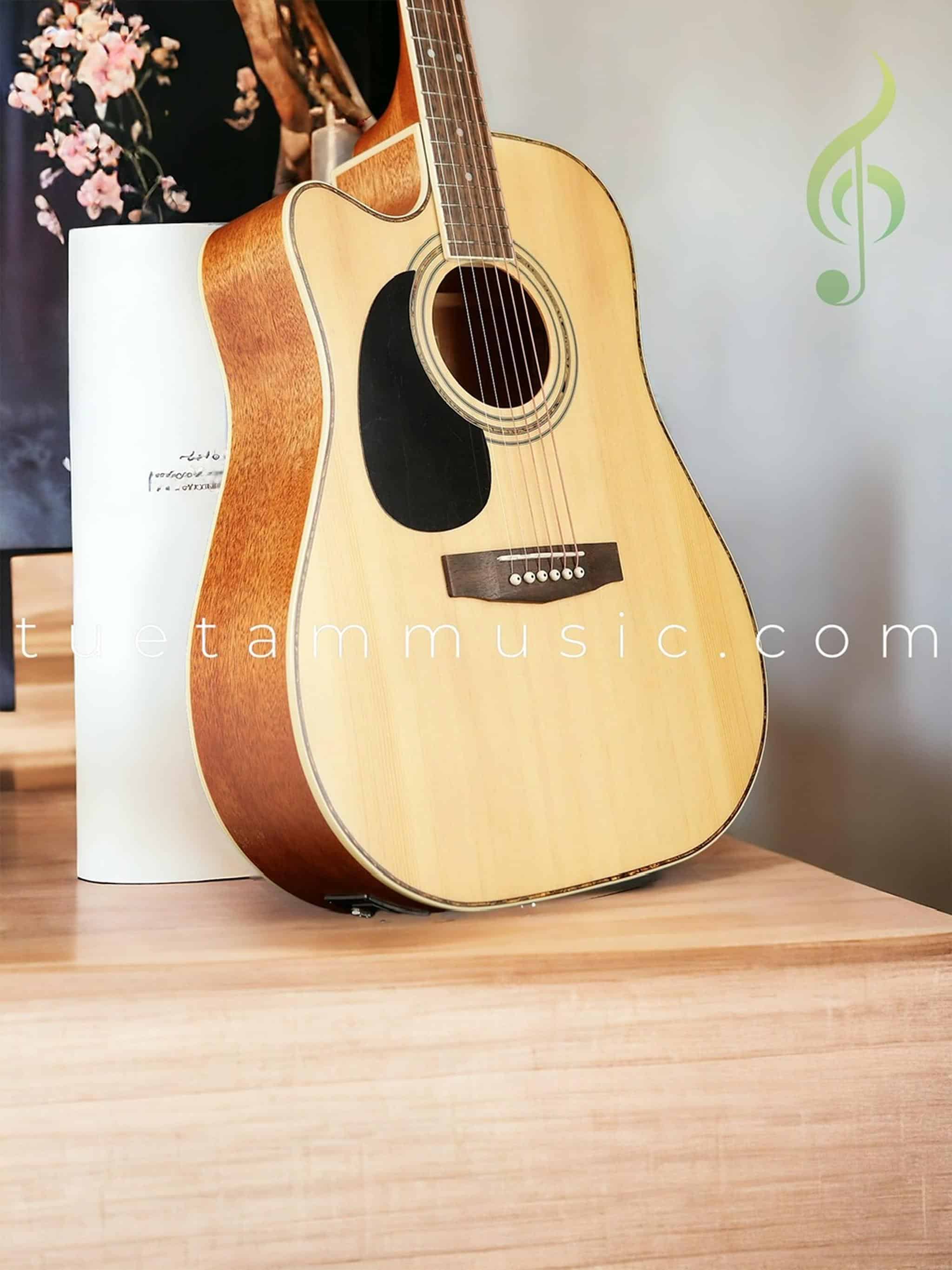 Đàn Guitar Acoustic Cort AD880