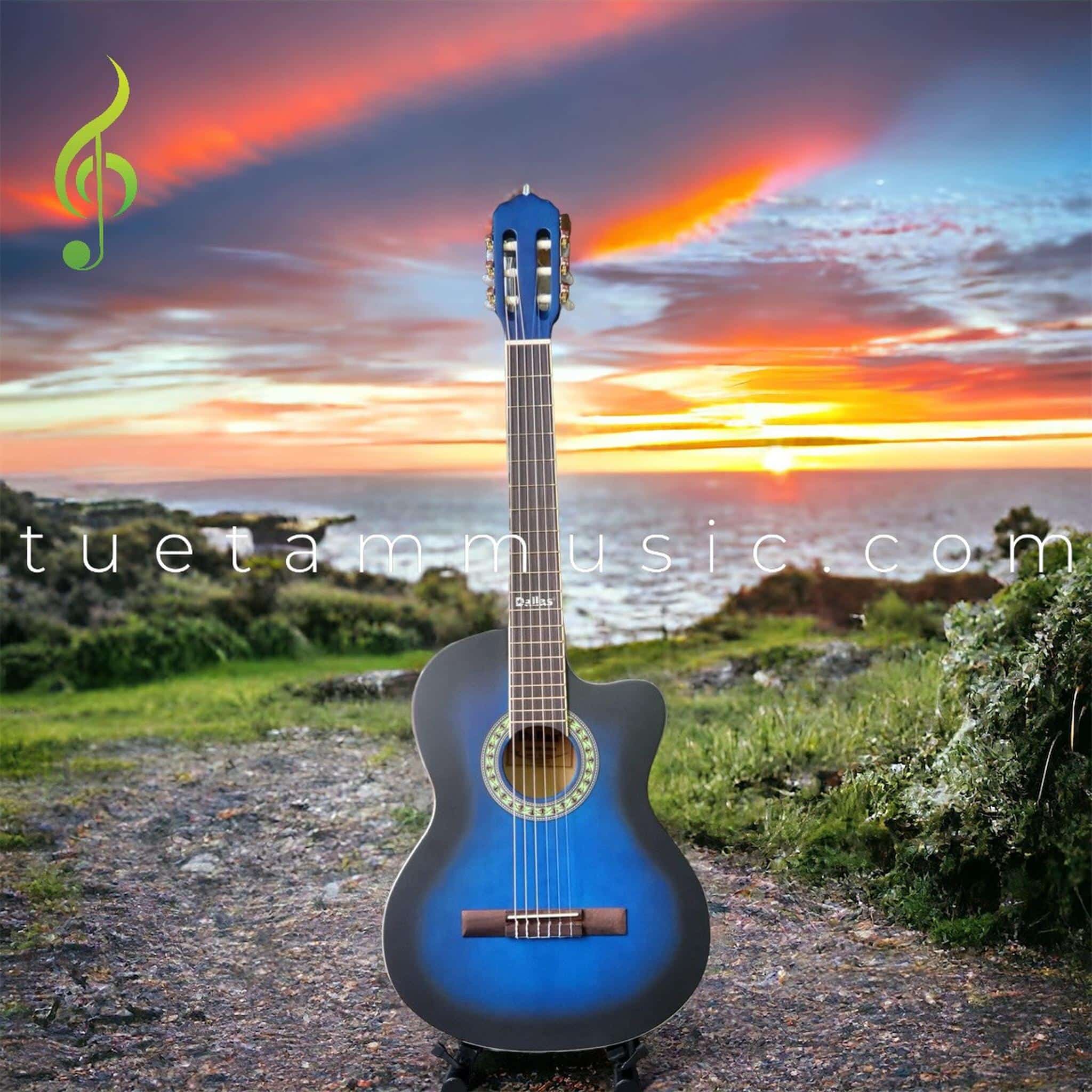 Đàn guitar classic Dallas DL-S39