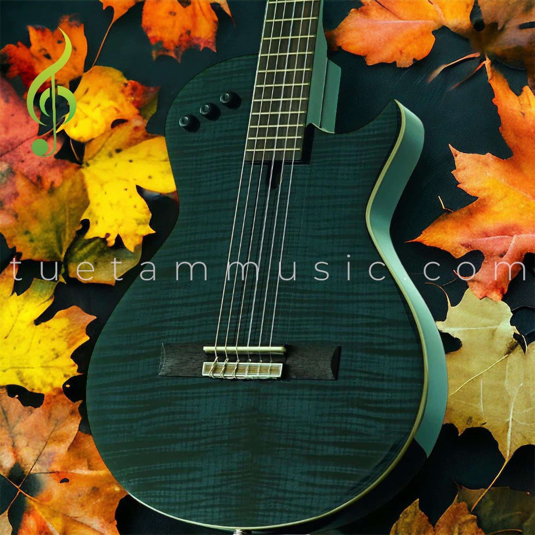 Đàn Guitar Silent Classic Smiger LE-C2