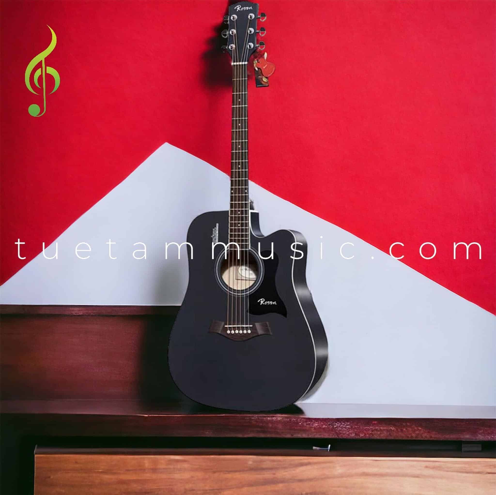 Đàn Guitar Acoustic Rosen R135