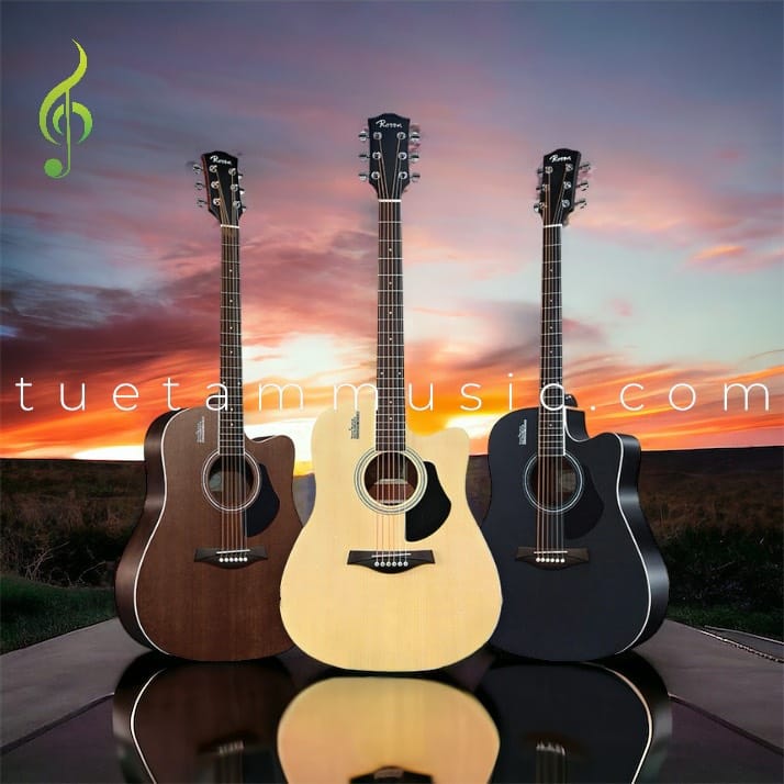 Đàn Guitar Acoustic Rosen R135