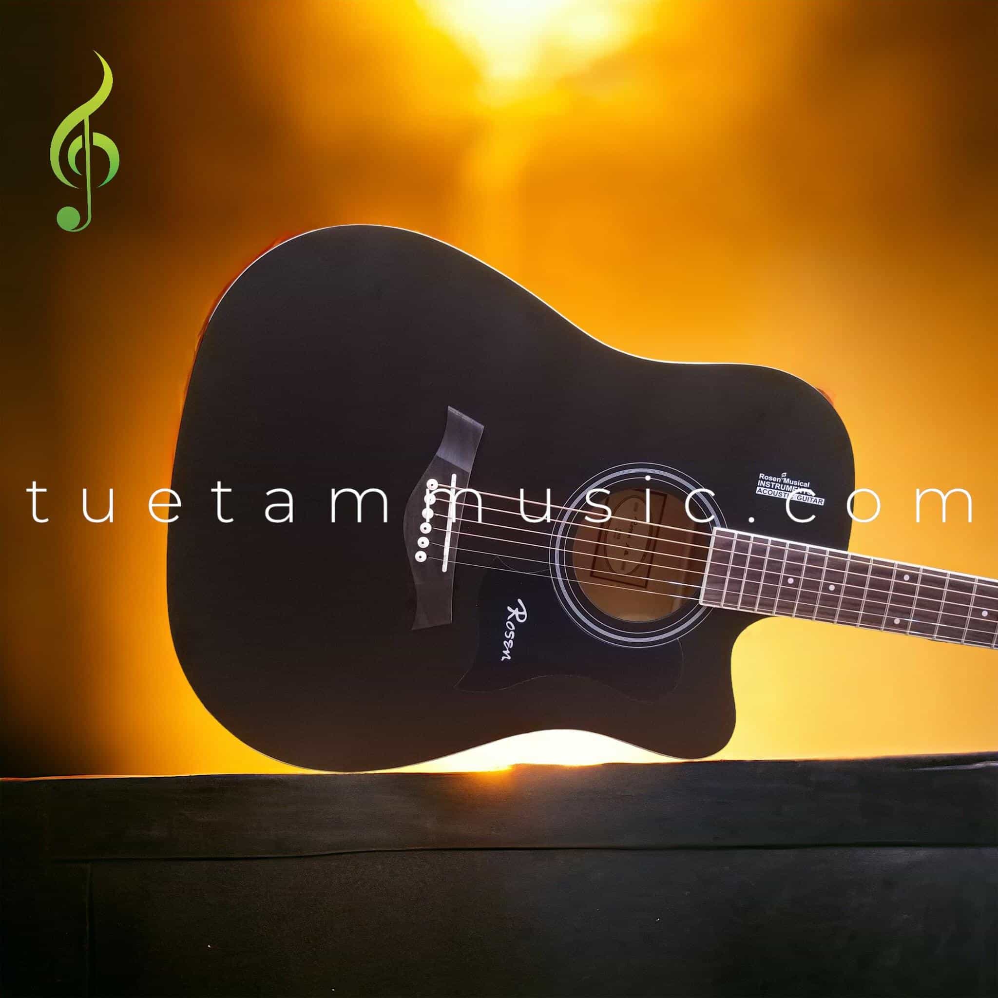Đàn Guitar Acoustic Rosen R135