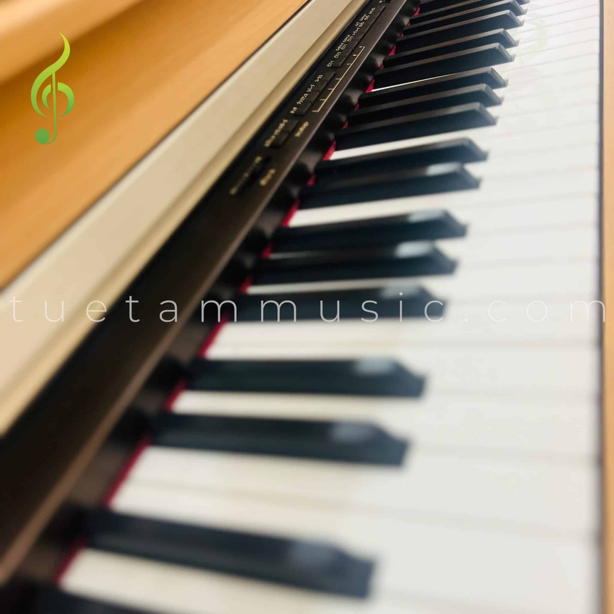 Đàn Piano Điện Korg C3200